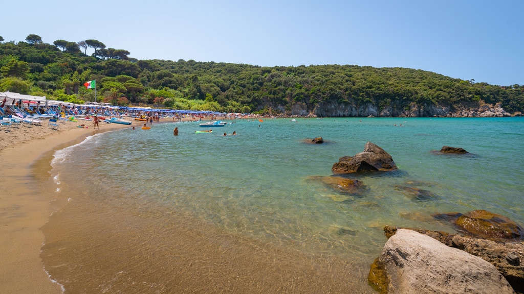 Bay of San Montano showing a sandy beach and general coastal views