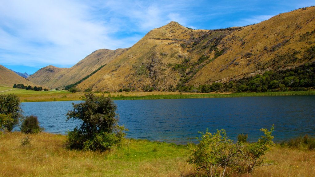 Queenstown mostrando un lago o abrevadero, vistas de paisajes y montañas