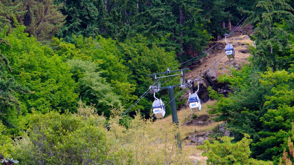 Skyline Gondola mostrando una góndola