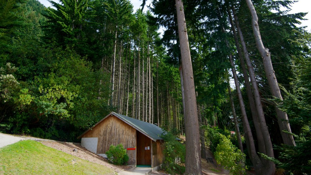 Kiwi & Birdlife Park som viser skovområder og en have