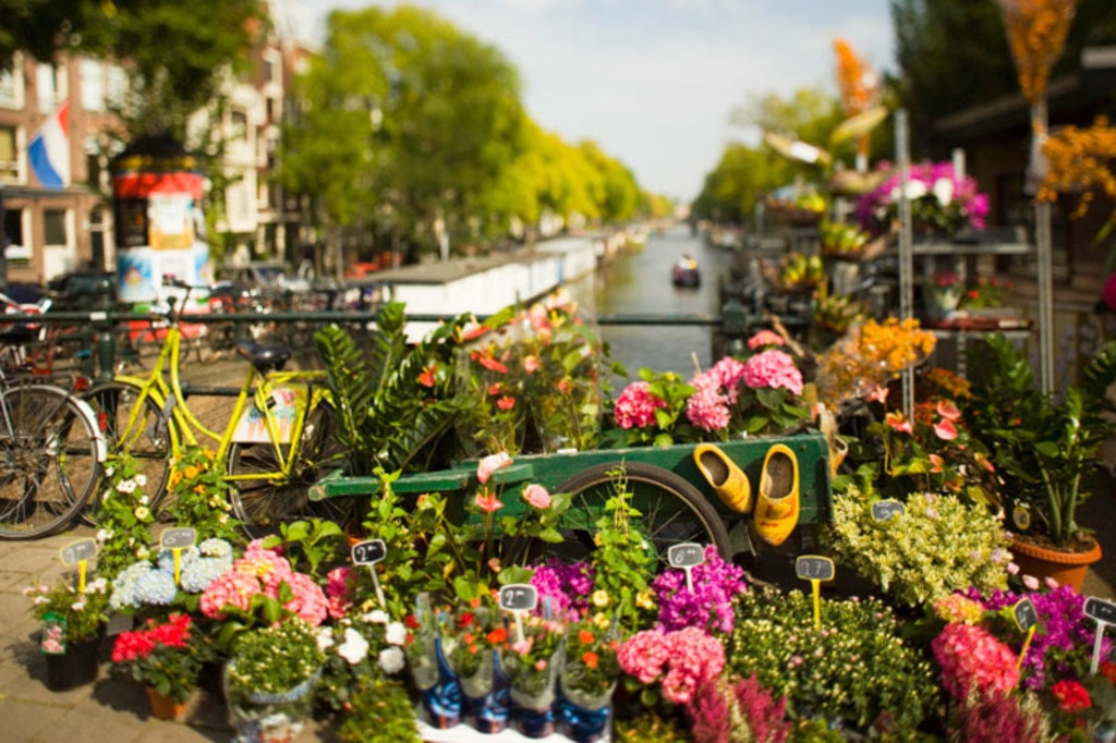 Fiori in ogni angolo della città