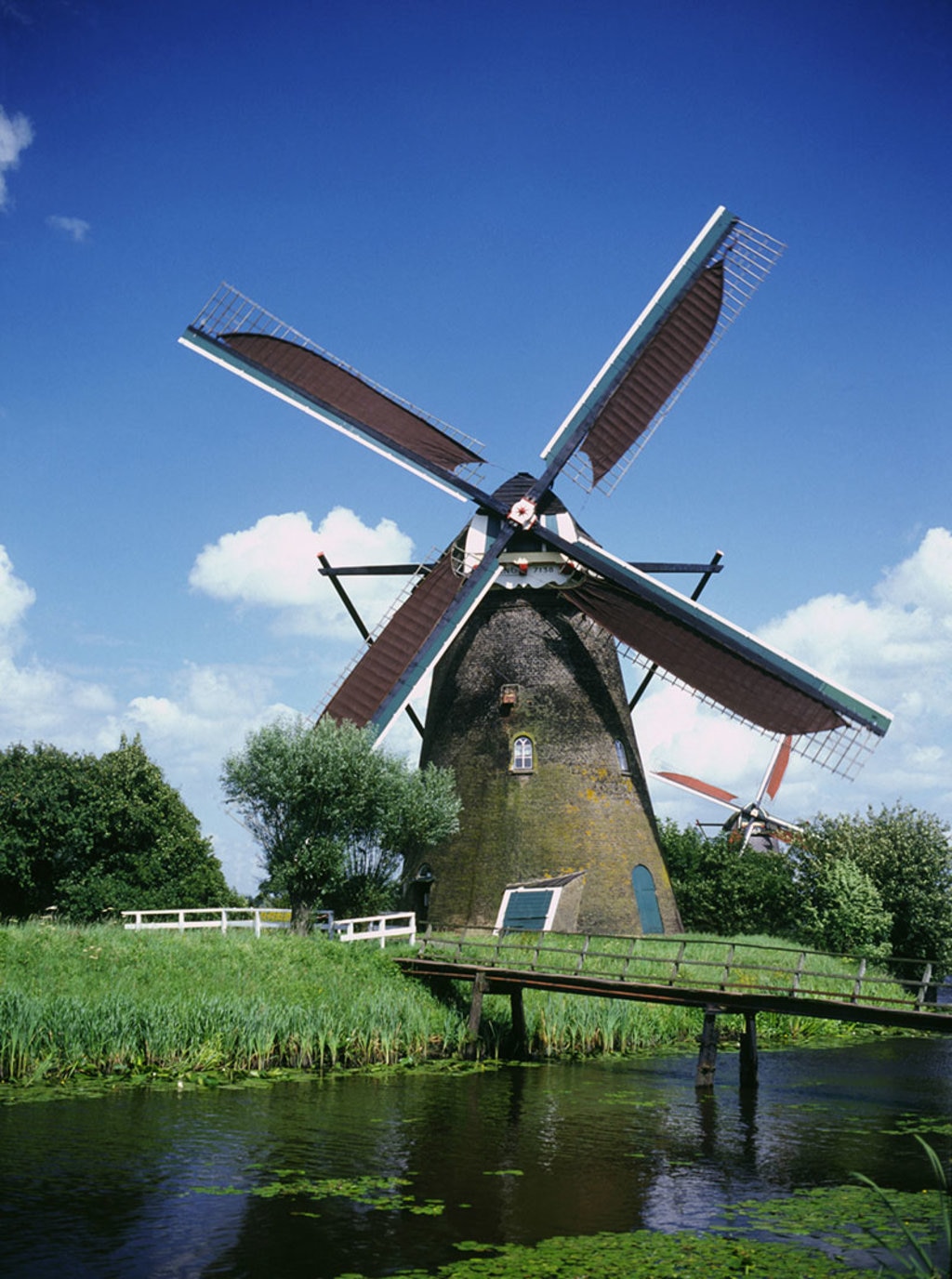 Tour dei mulini in Olanda