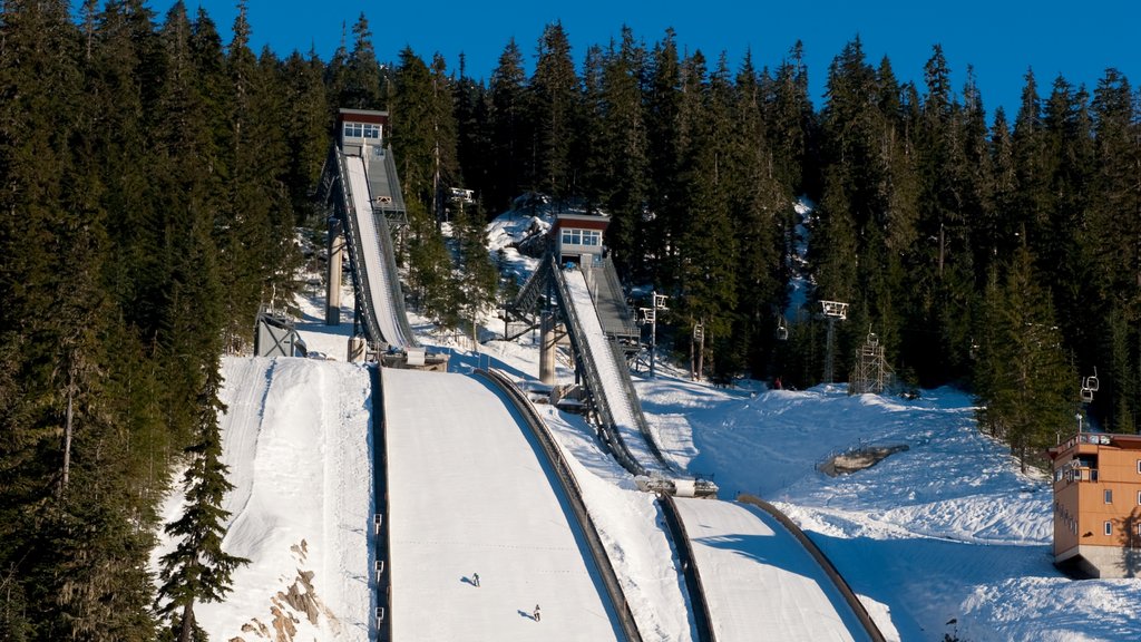 Whistler Olympic Park showing landscape views, snow and mountains