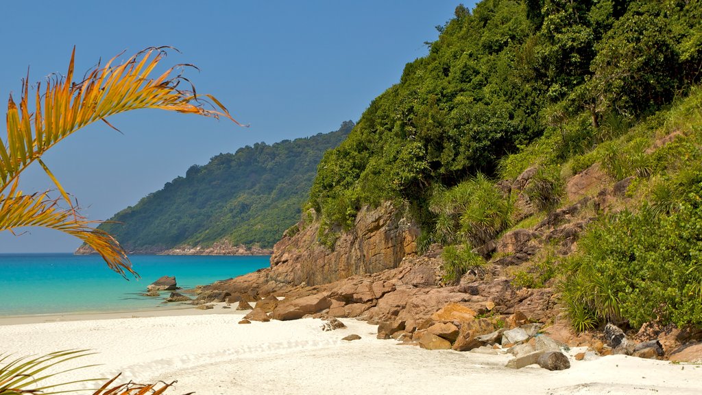 Isla de Redang que incluye vistas de paisajes, escenas tropicales y una playa de arena