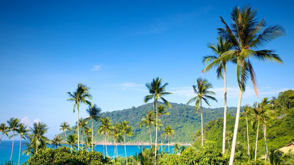 Isla de Redang ofreciendo vistas generales de la costa, escenas tropicales y vistas de paisajes