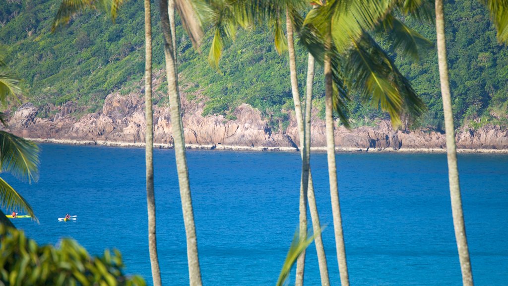 熱浪島