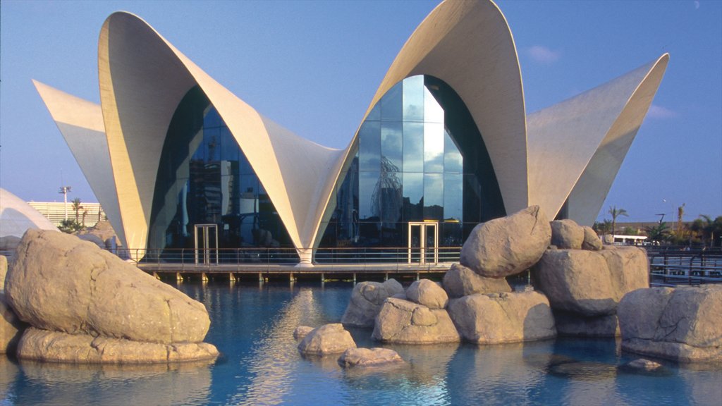 La Ciudad de las Artes y las Ciencias