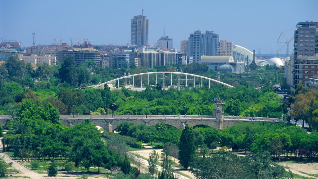 Turia Gardens showing a park, a bridge and a city