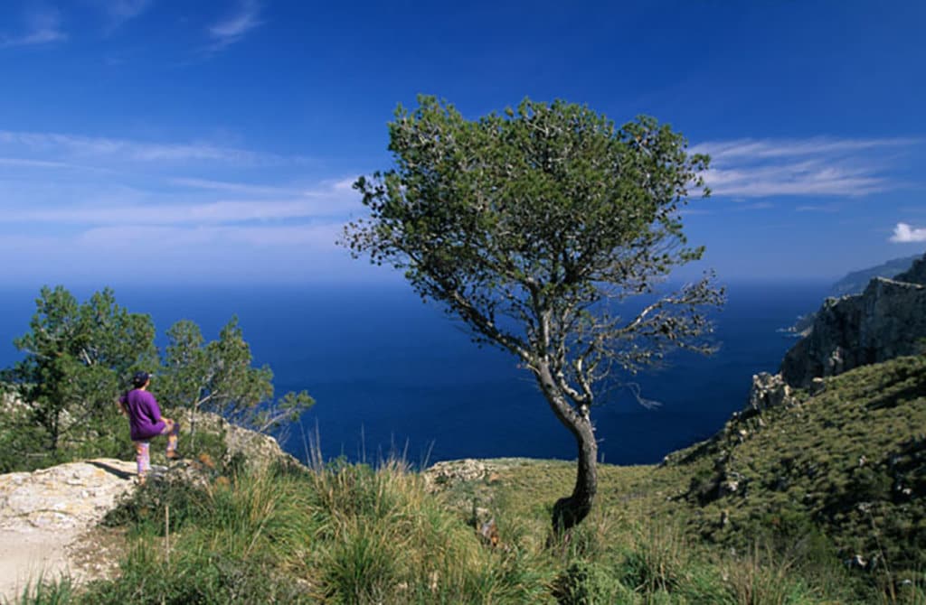  Scorcio di mare dalla Serra de Tramuntana sull'isola di Maiorca. Photo credit: Alamy