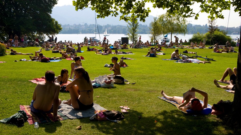 Lac de Zurich aussi bien que un grand groupe de personnes