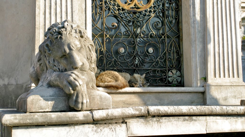 Cementerio de Recoleta que incluye un cementerio y un monumento