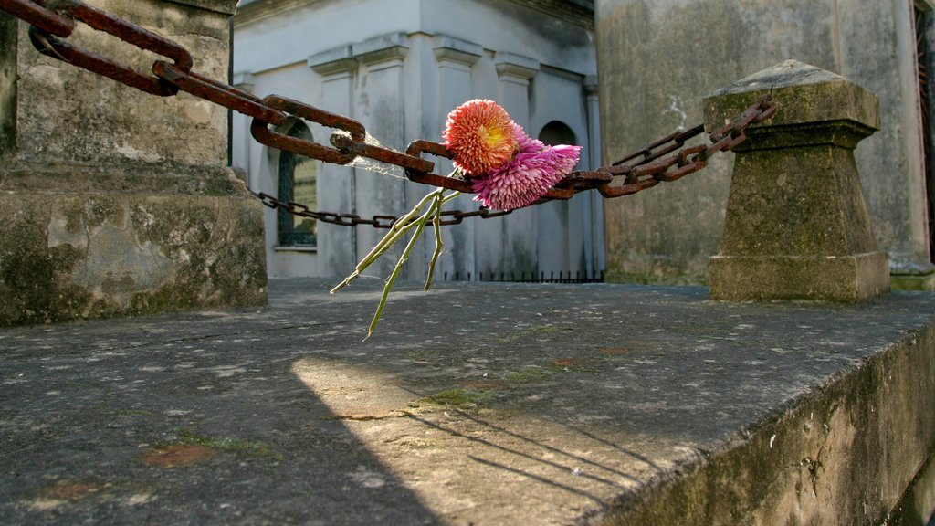 Cementerio de Recoleta que incluye un monumento y flores