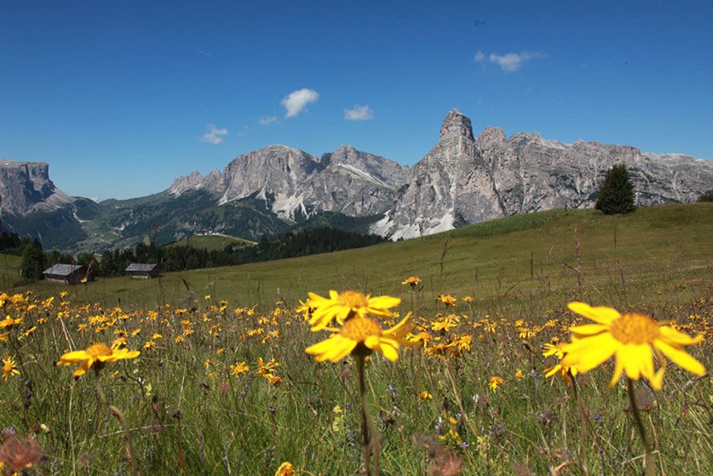 Le località dell'Alta Badia offrono ottime soluzioni per famiglie. Foto di Freddy Planinscheck. Courtesy of Consorzio Turistico Alta Badia.