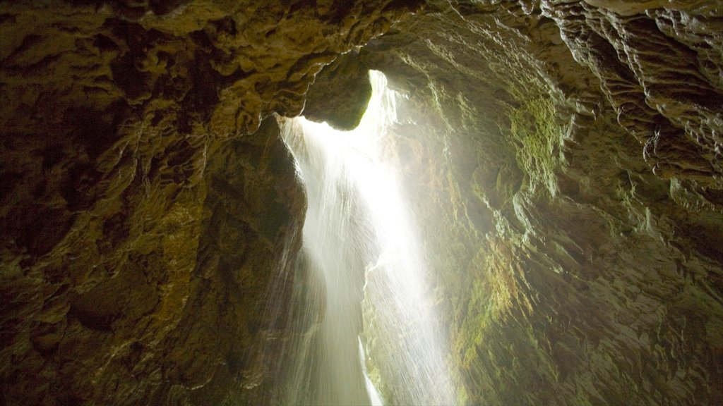 Cascadas Somerset ofreciendo cuevas, vistas de paisajes y neblina o niebla