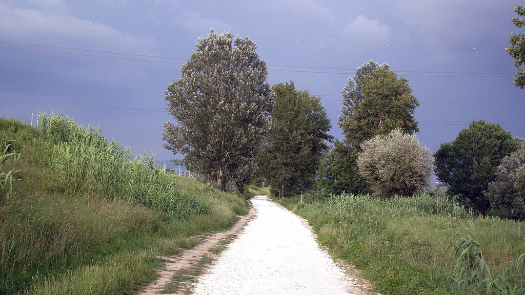 La pista ciclabile che collega il Parco dei Renai con il Parco delle Cascine a Firenze - Di Nick46 - Opera propria, Pubblico dominio, https://commons.wikimedia.org/w/index.php?curid=4181258