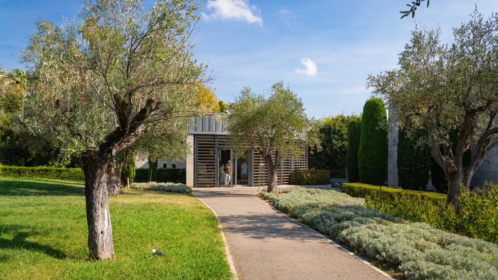 French Riviera showing a park