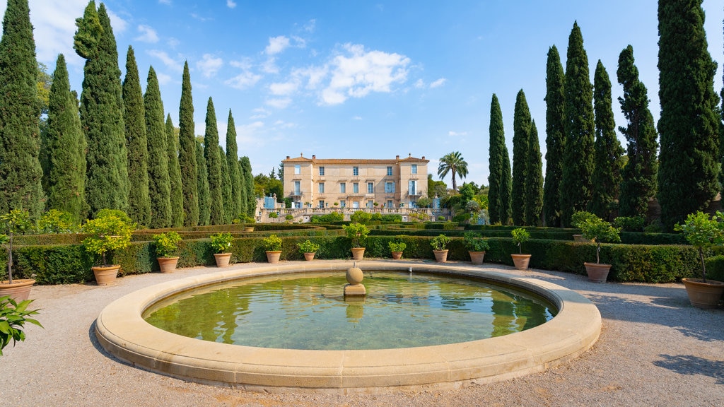 Chateau de Flaugergues showing a fountain and a park