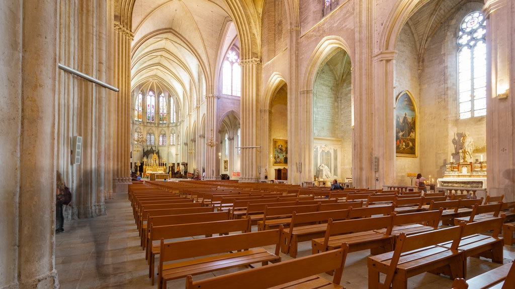 Montpellier Cathedral which includes a church or cathedral, heritage elements and interior views