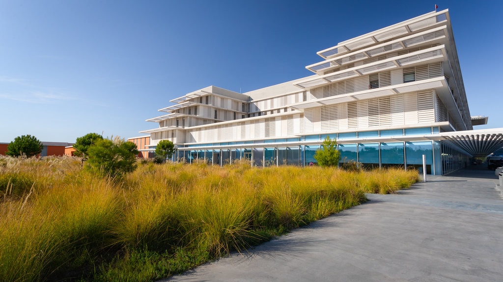 Hospital de Cannes mostrando un parque