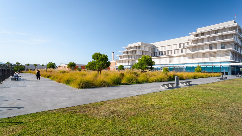 Hôpital de Cannes montrant un parc