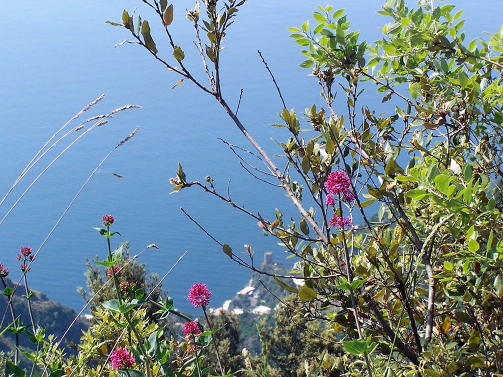 Il sentiero degli Dei By Porfirio from Procida, Italy (Sentiero degli Dei)  , via Wikimedia Commons