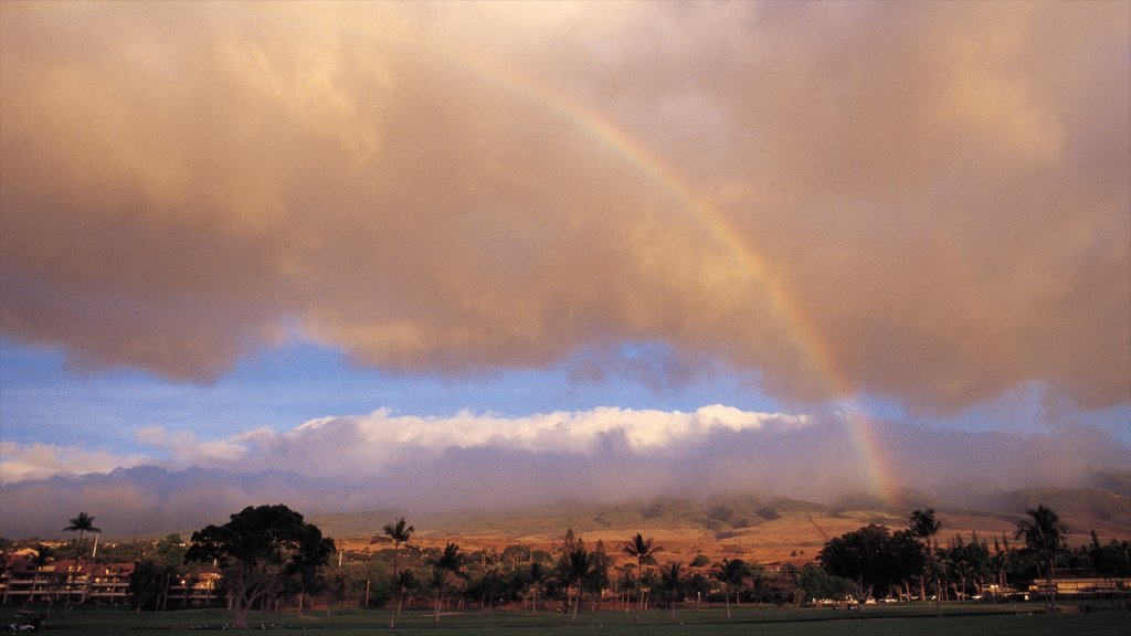 Kaanapali Beach showing landscape views and tropical scenes