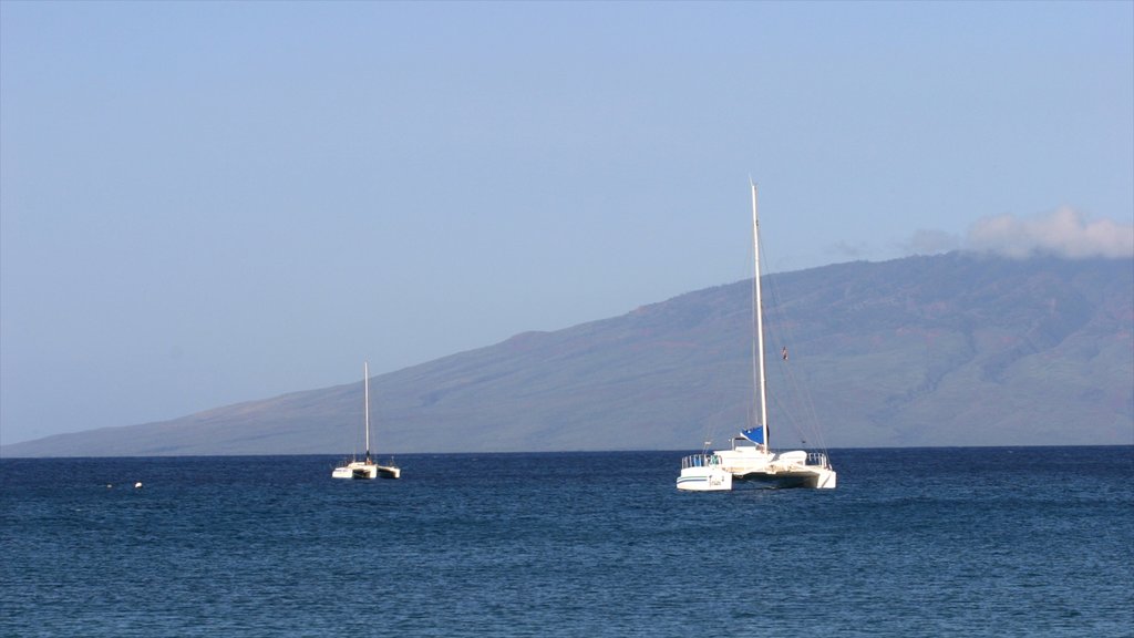 Kapalua Beach showing tropical scenes