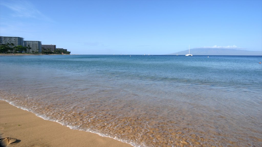 Kapalua Beach showing a beach