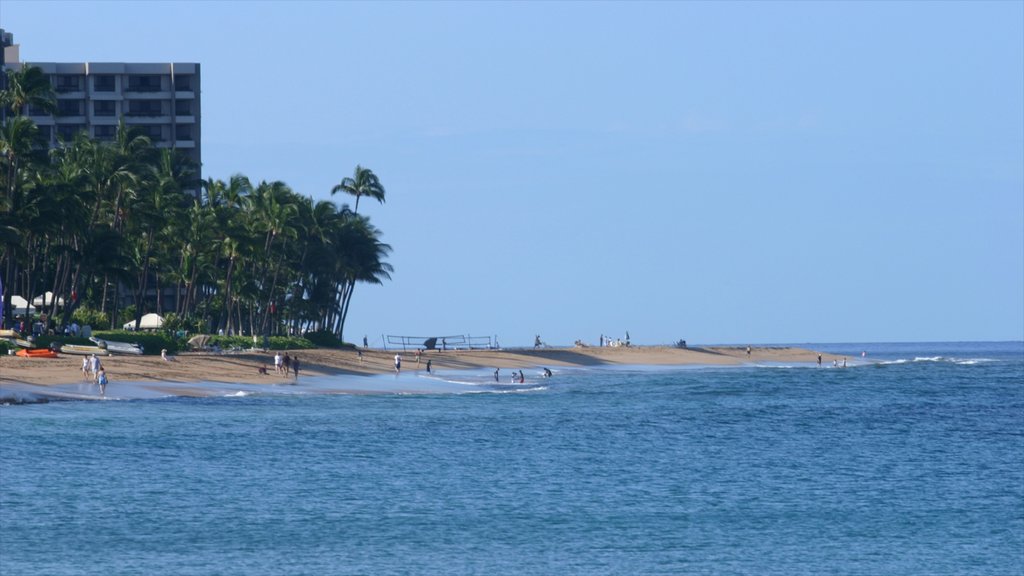 Kapalua Beach que inclui paisagem