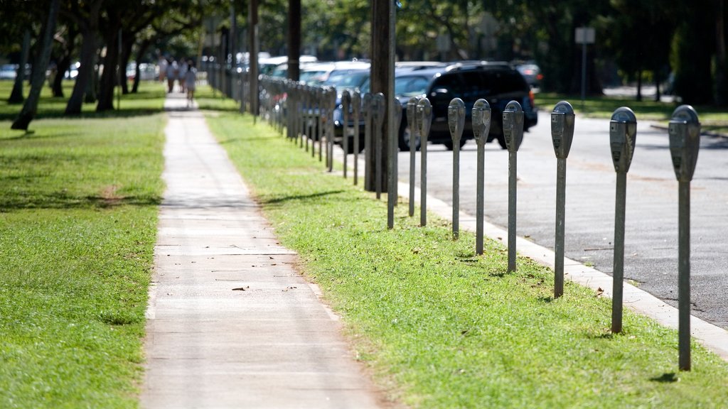 Parc Kapiolani montrant randonnée ou marche à pied et scènes de rue