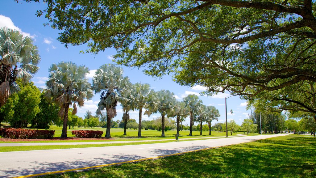 Miami Springs mostrando jardín y vista panorámica