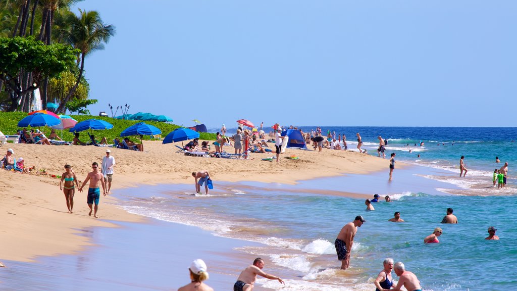 Kaanapali Beach showing a beach, swimming and tropical scenes