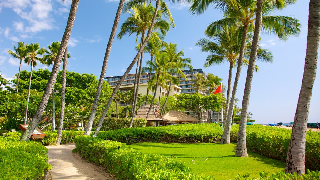 Kaanapali Beach showing tropical scenes