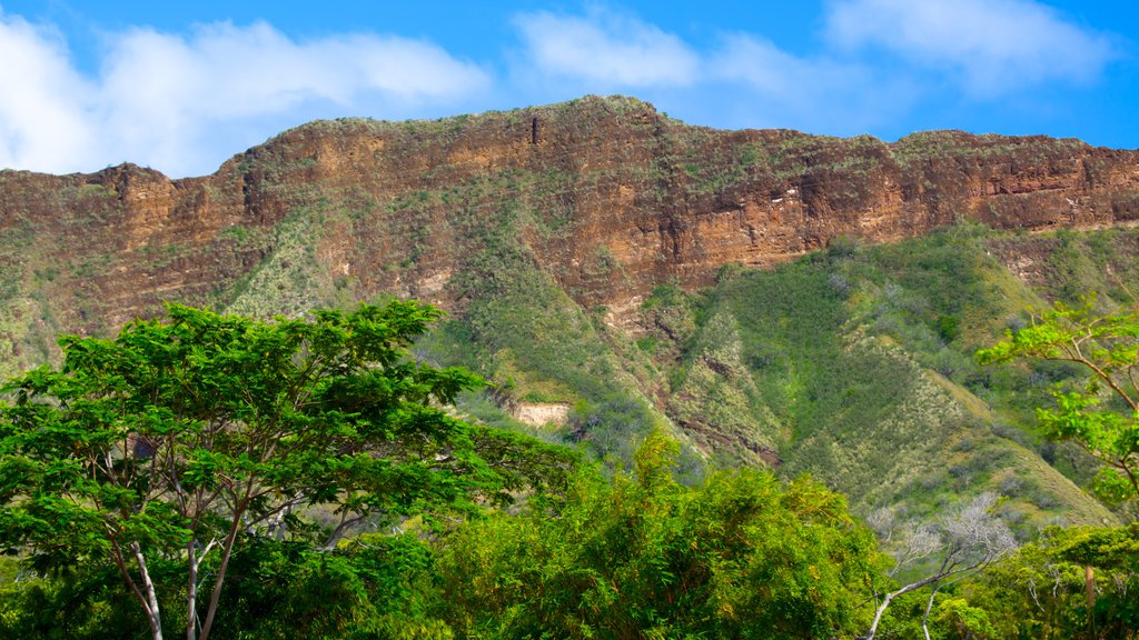 Honolulu Zoo showing landscape views and mountains