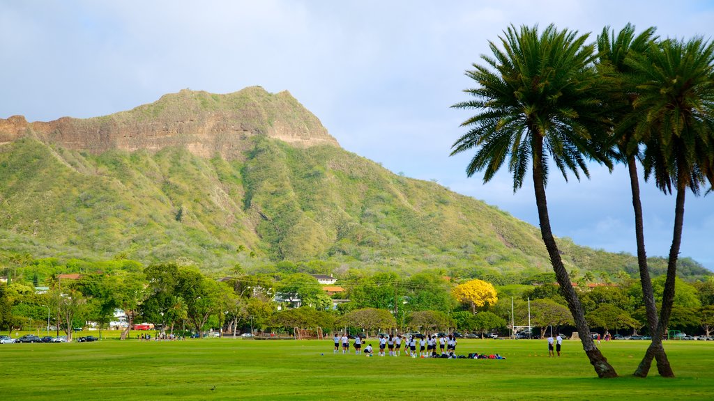 Kapiolani Park showing a garden, mountains and landscape views