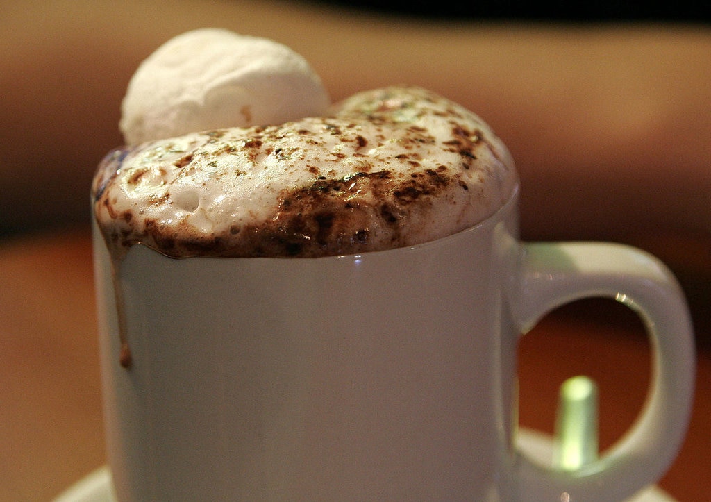 Il freddo di febbraio, soprattutto dopo una giornata trascorsa all'aperto, si fa sentire. E' d'obbligo allora una pausa per gustarsi una dolce cioccolata in tazza.  Licensed under GFDL 1.2 via Wikimedia Commons - https://commons.wikimedia.org/wiki/File:Hot_chocolate.jpg#/media/File:Hot_chocolate.jpg 