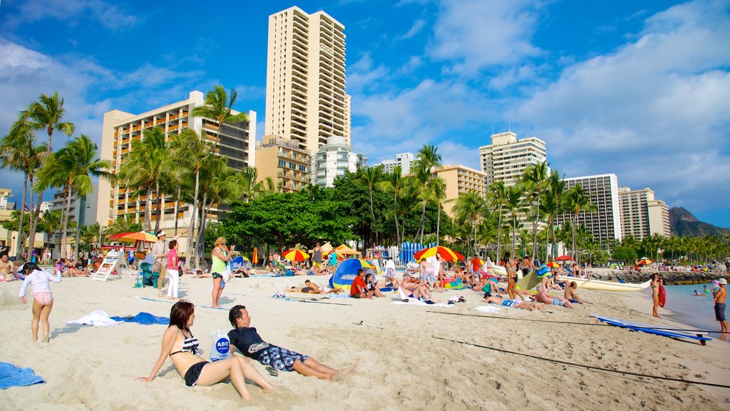 Waikiki Beach que incluye un edificio alto, una ciudad costera y escenas tropicales