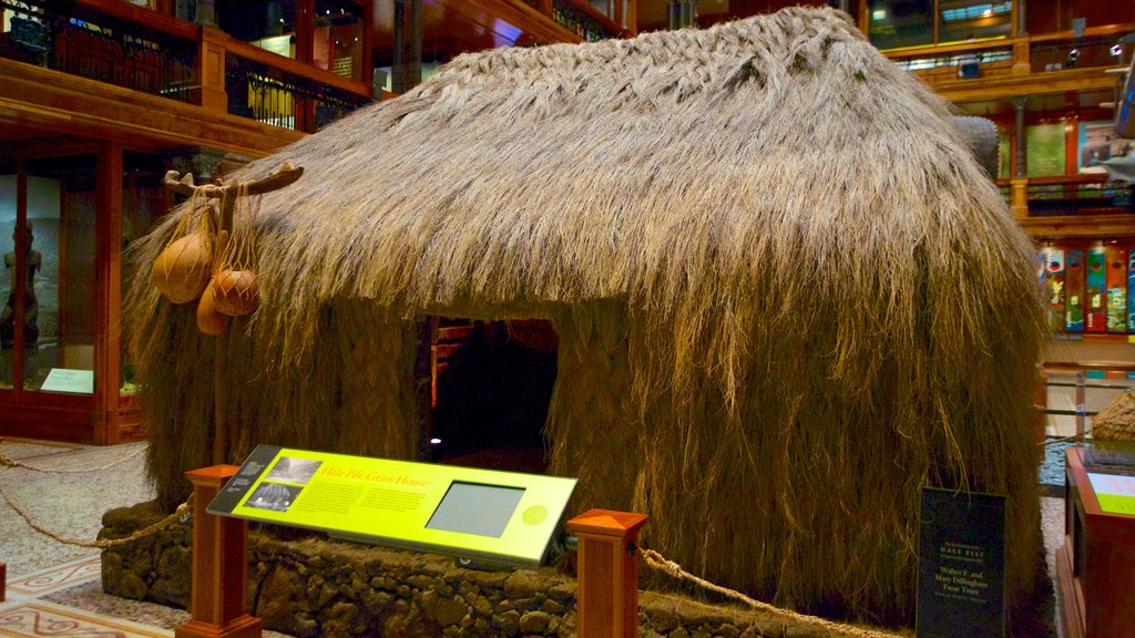 Bishop Museum which includes interior views