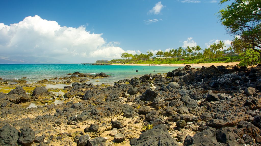 Wailea Beach som visar tropisk natur, en stenstrand och landskap