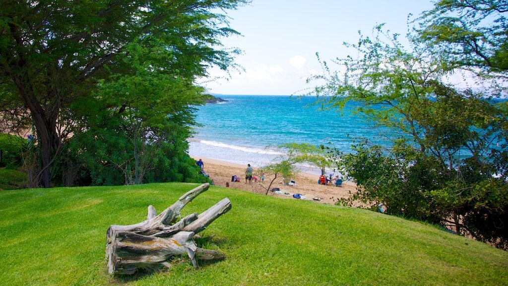 Playa Wailea mostrando escenas tropicales y una playa de arena