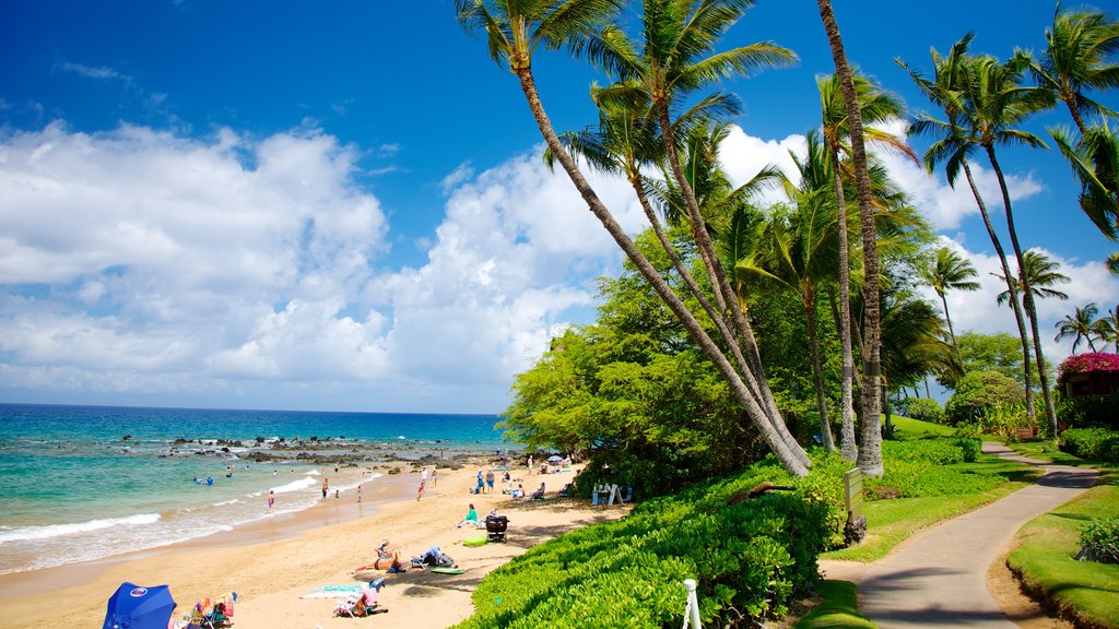 Playa Wailea ofreciendo escenas tropicales, una playa de arena y natación