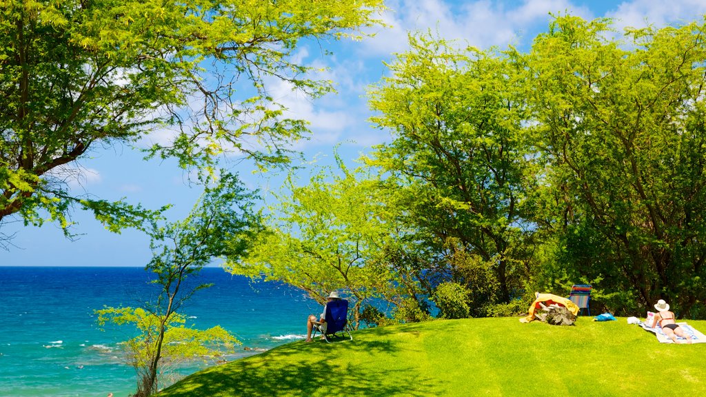 Playa Wailea ofreciendo vistas de paisajes, vistas generales de la costa y un parque