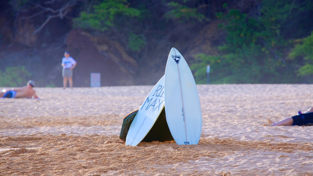 Makena Beach State Park som omfatter en sandstrand