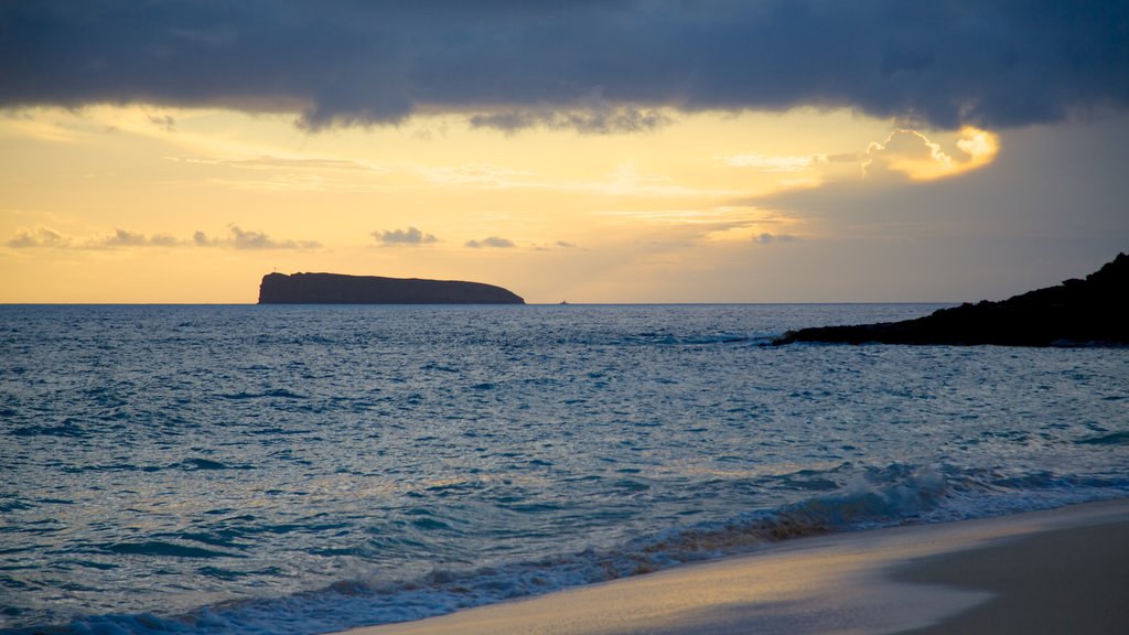 Makena Beach State Park que incluye una playa