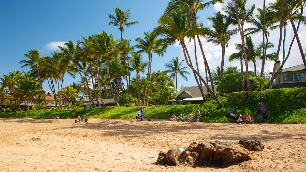 Keawakapu Beach showing landscape views, a beach and tropical scenes