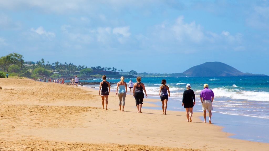 Praia de Keawakapu mostrando cenas tropicais e uma praia de areia assim como um pequeno grupo de pessoas