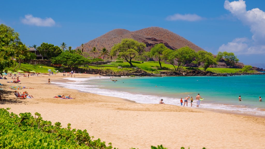 Playa Maluaka mostrando escenas tropicales, vista panorámica y una playa de arena