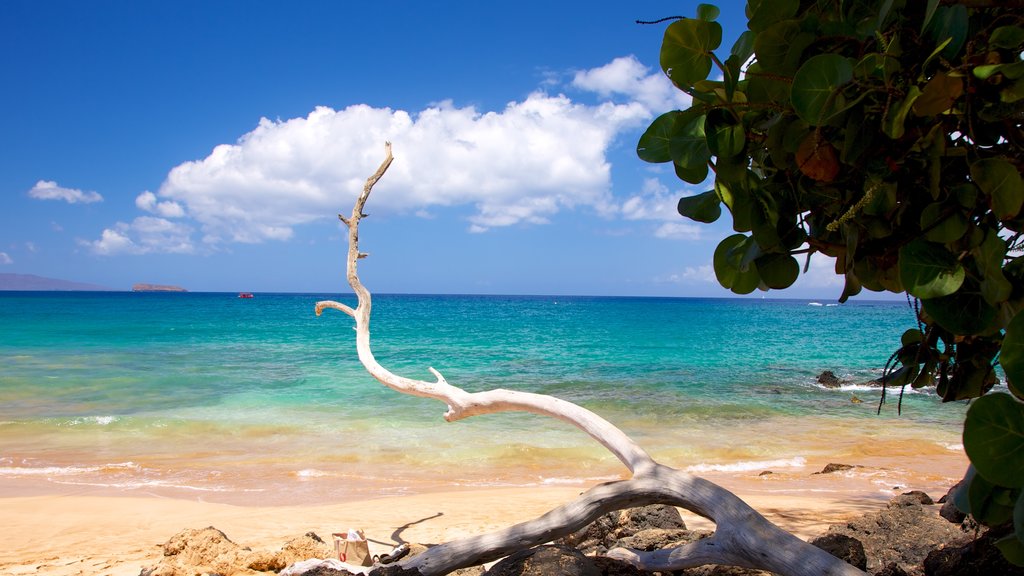 Maluaka Beach which includes tropical scenes, a beach and landscape views