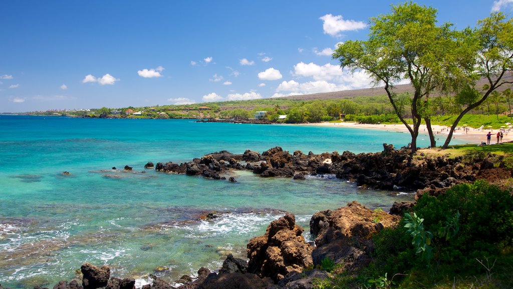 Playa Maluaka que incluye costa escarpada, escenas tropicales y una ciudad costera