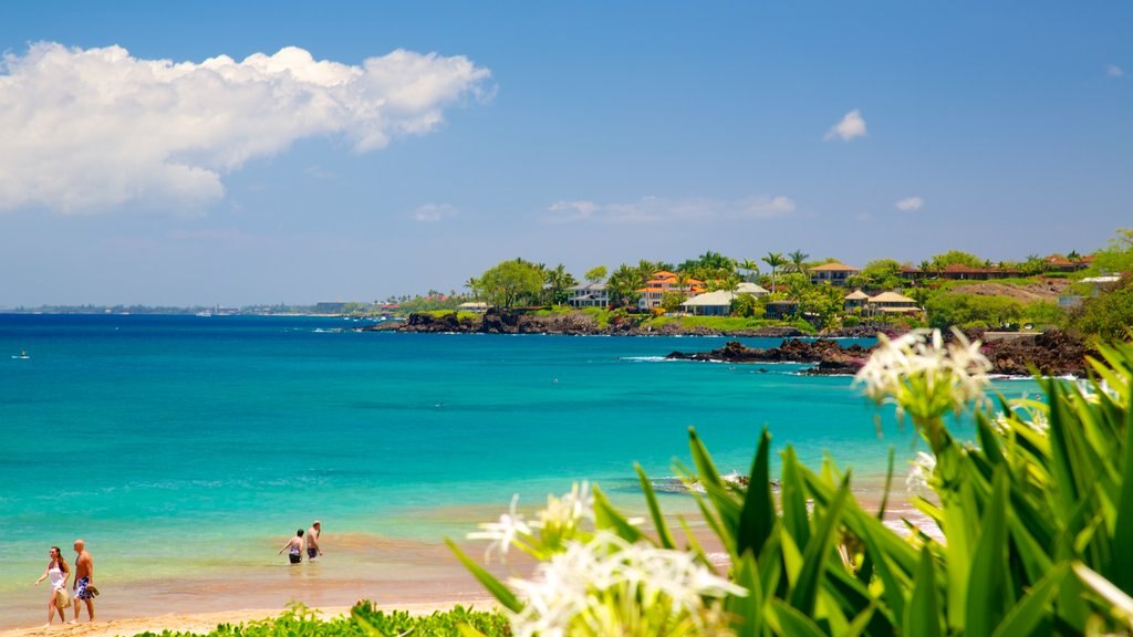 Playa Maluaka mostrando una ciudad costera, natación y vista panorámica